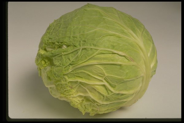 437034 Cabbage A4 Photo Print