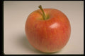 437039 Red Apple A4 Photo Print