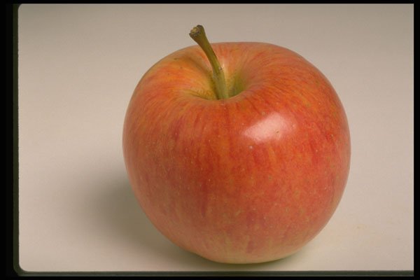 437039 Red Apple A4 Photo Print