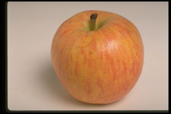 437040 Gala Apple A4 Photo Print
