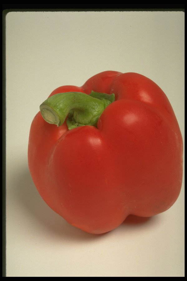 437041 Red Pepper A4 Photo Print