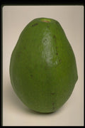 437043 Green Avocado A4 Photo Print