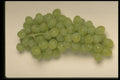 437045 Green Grapes A4 Photo Print