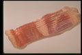 437049 Raw Bacon A4 Photo Print