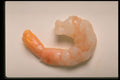 437051 Shrimp A4 Photo Print