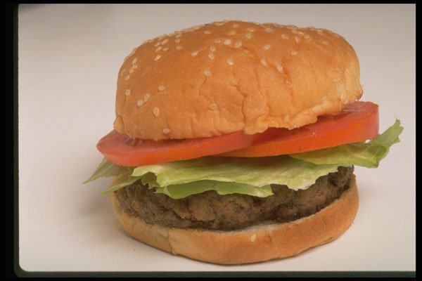 437053 Hamburger A4 Photo Print