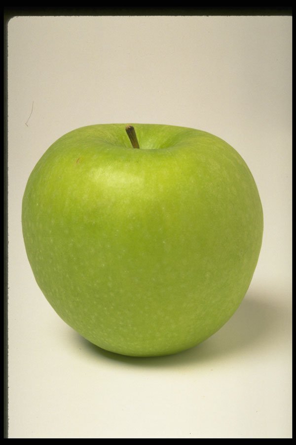437062 Green Apple A4 Photo Print