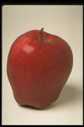 437063 Red Delicious Apple A4 Photo Print
