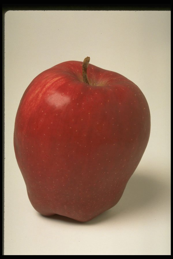 437063 Red Delicious Apple A4 Photo Print