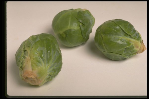 437065 Brussel Sprouts A4 Photo Print