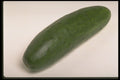 437070 Cucumber A4 Photo Print