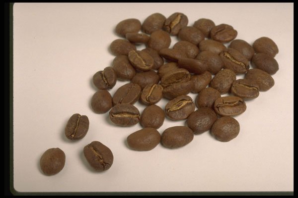 437073 Coffee Beans A4 Photo Print