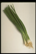 437074 Green Onions A4 Photo Print