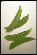 437077 Snow Peas A4 Photo Print