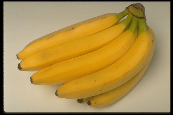 437080 Yellow Bananas A4 Photo Print