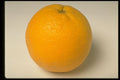 437081 Orange A4 Photo Print