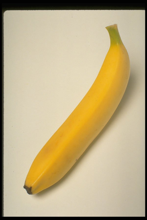 437082 Banana A4 Photo Print