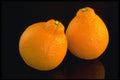 437089 Tangerines A4 Photo Print