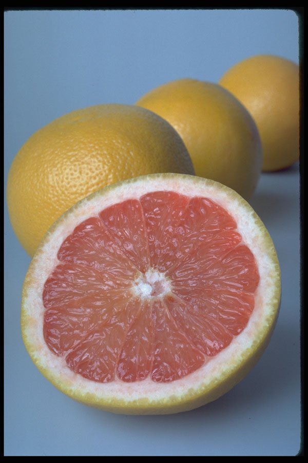 437090 Grapefruit A4 Photo Print