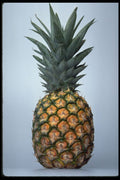 437091 Pineapple A4 Photo Print