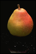437093 Comice Pear A4 Photo Print