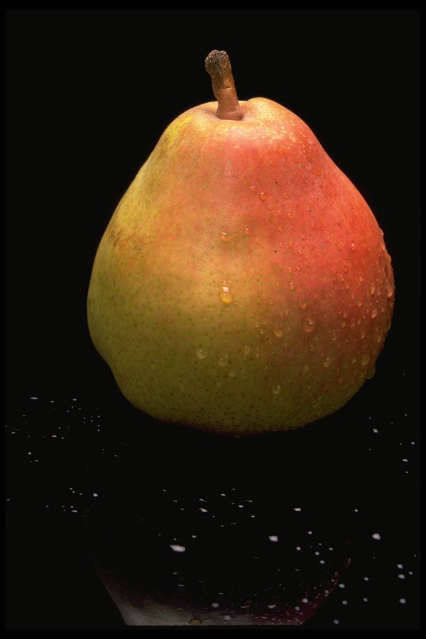 437093 Comice Pear A4 Photo Print