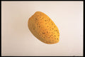 437098 Almond A4 Photo Print