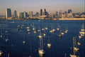 438002 Anchored Boats And Skyline From Coronado Bridge A4 Photo Print