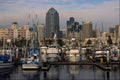438004 Tuna Fleet And Downtown Waterfront A4 Photo Print