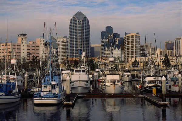 438004 Tuna Fleet And Downtown Waterfront A4 Photo Print