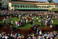 438018 Reviewing The Horses, Del Mar Racetrack A4 Photo Print