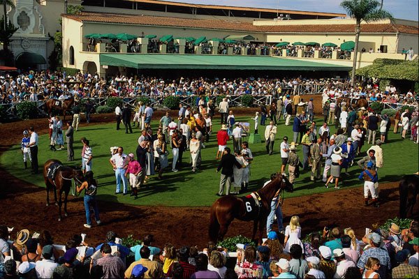 438018 Reviewing The Horses, Del Mar Racetrack A4 Photo Print