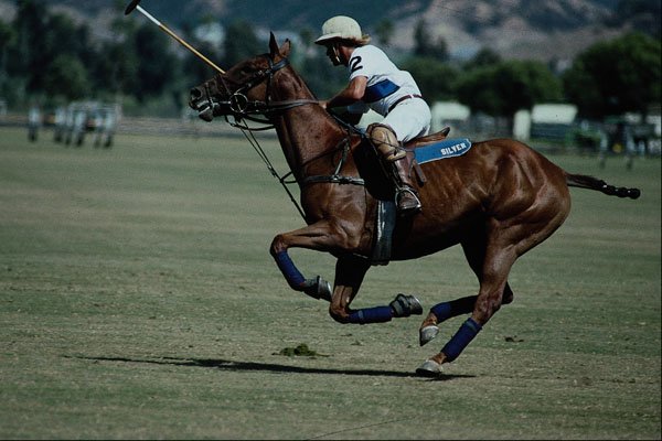 438020 Polo Player, Rancho Santa Fe A4 Photo Print