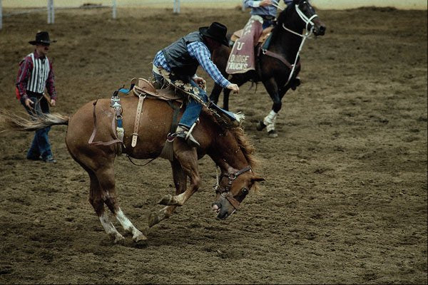 438021 Bucking Bronco, Del Mar Fair A4 Photo Print