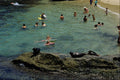 438027 The Children's Pool , La Jolla A4 Photo Print