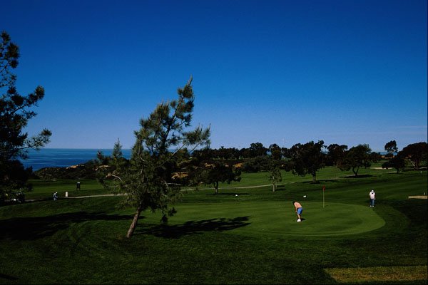 438031 Golfing At Torrey Pines A4 Photo Print