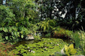 438042 Quail Botanical Gardens, Encinitas A4 Photo Print