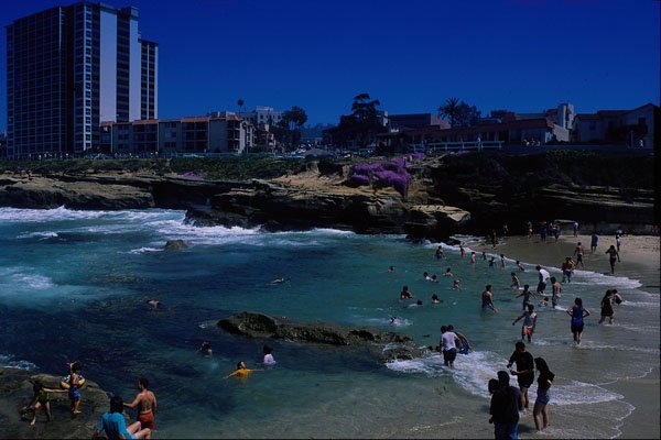 438078 The Children's Pool , La Jolla A4 Photo Print