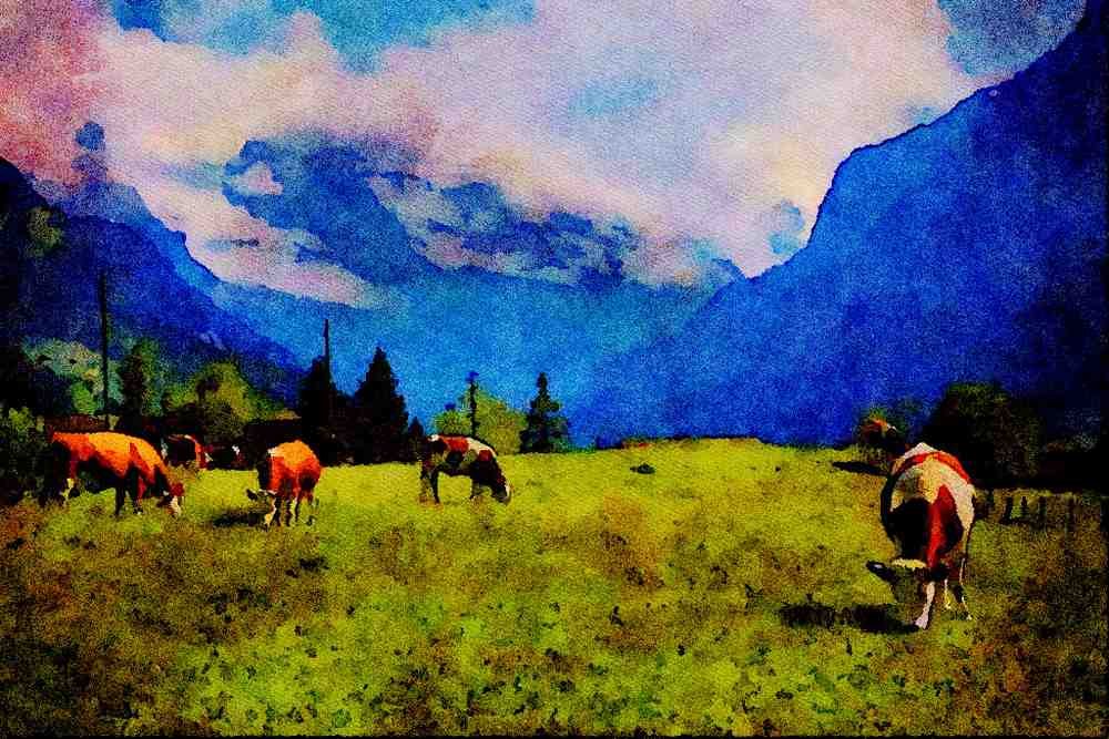 439015 Cows In Mountain Pasture A4 Limited Edition Watercolour Print