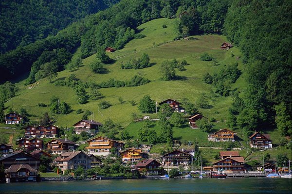 439018 Chalets Above Lake Thun A4 Photo Print