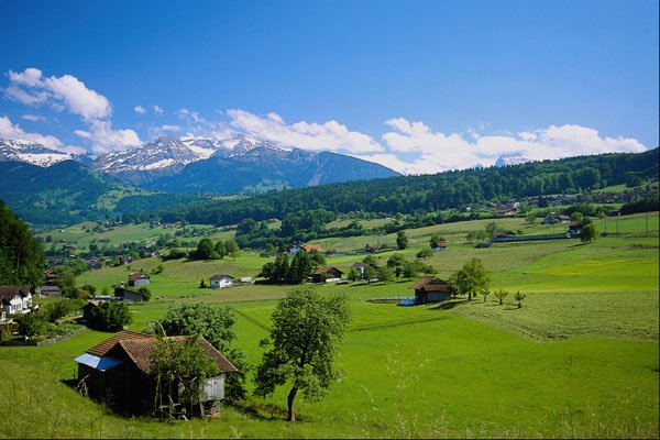 439032 Typical Farmland Outside Spiez Village A4 Photo Print