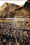 439051 Grain Fields Are Contrasted With Wooded Niesen A4 Limited Edition Watercolour Print