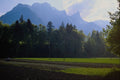 439054 Swiss Farmer Working His Fields A4 Photo Print