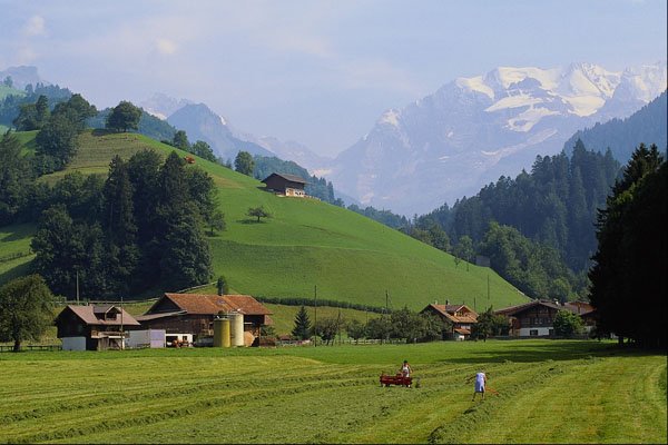 439057 Swiss Women Working In Hayfields Near Reichenbach A4 Photo Print