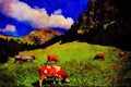 439058 Simmental Cattle In Poschenreid Valley Near Lenk A4 Limited Edition Watercolour Print