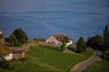 439072 Road Through Lavaux Vineyards On Lake Geneva A4 Photo Print