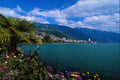 439084 Palms Flourish In The Temperate Climate Of Lake Geneva A4 Photo Print