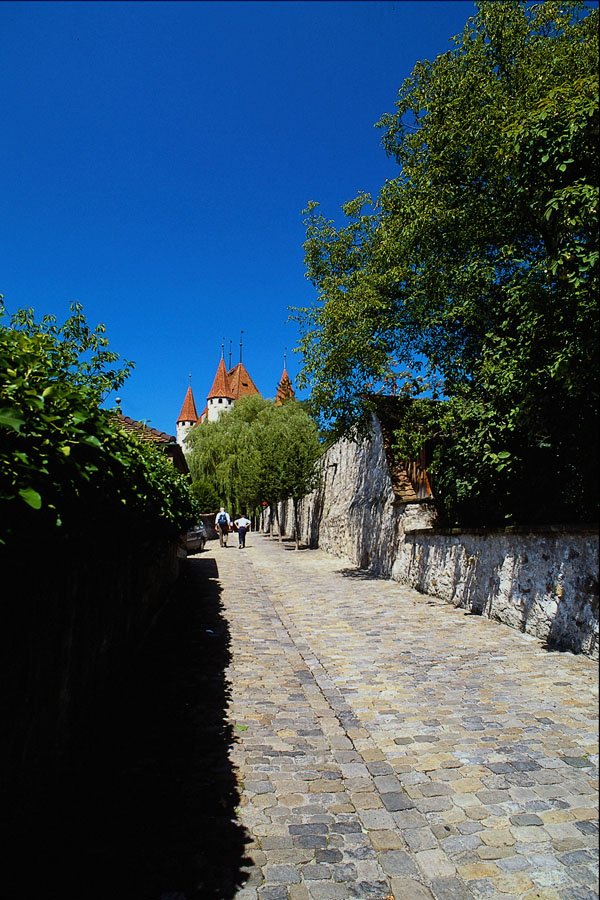 439094 Cobbled Road Leads To Schloss A4 Photo Print