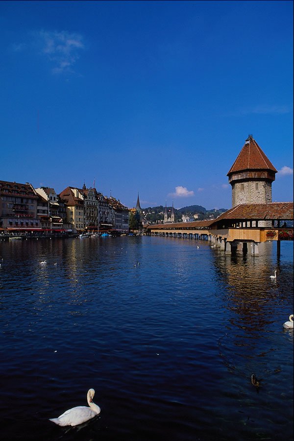 439095 View Of The Kappelbrucke, A Wooden Bridge A4 Photo Print