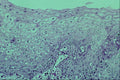 440014 Tongue Surface A4 Photo Print